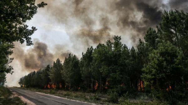 Scientists say extreme weather is becoming more frequent and more intense due to climate change