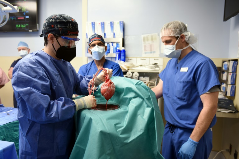 This handout photo released by the University of Maryland School of Medicine on January 10, 2022 shows surgeons performing a transplant of a heart from a genetically modified pig to patient David Bennett, Sr