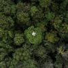 Drones are part of an increasingly sophisticated arsenal used by scientists to understand forests and their role in the battle against climate change