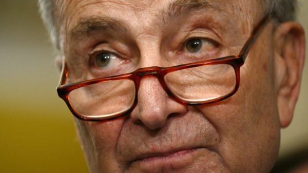 US Senate Majority Leader Chuck Schumer says Ukraine aid proposal must wait until early days of 2024