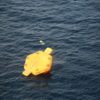 A photo released by Japan's coastguard shows what appears to be an overturned life raft during rescue operations after a US Osprey aircraft crashed into the sea