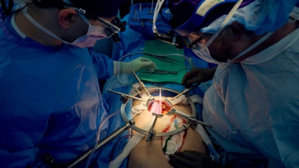 A team of surgeons transplanting a pig kidney into a brain dead patient, part of a growing field of research aimed at advancing cross-species transplants and closing the organ donor gap