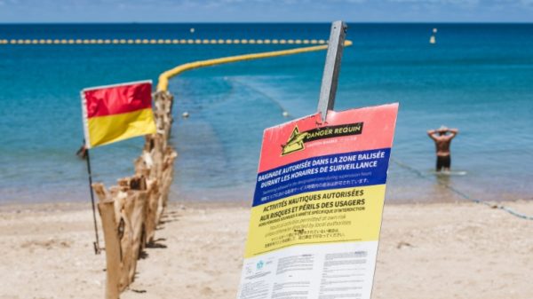 A huge steel net now encloses a large section of Noumea's Baie des Citrons beach