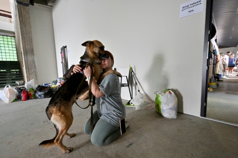 The plight of animals stranded and distressed in floods prompted numerous volunteers to go and save them