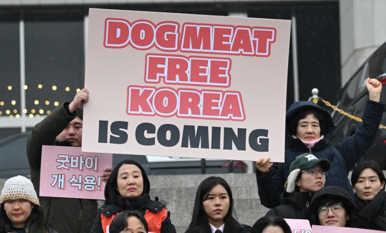 Animal rights activists hold placards during a rally welcoming a bill banning dog meat trade at the National Assembly in Seoul