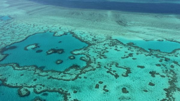 Australia's Great Barrier Reef is significantly impacted by climate change factors, according to experts.