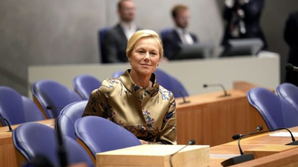 Sigrid Kaag previously held a number of senior UN jobs including its special coordinator for Lebanon