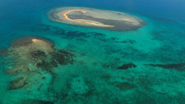 Ocean "stratification" means less deep water is rising towards the surface carrying oxygen and nutrients, while the water at the surface absorbs less atmospheric carbon dioxide to bury at depth